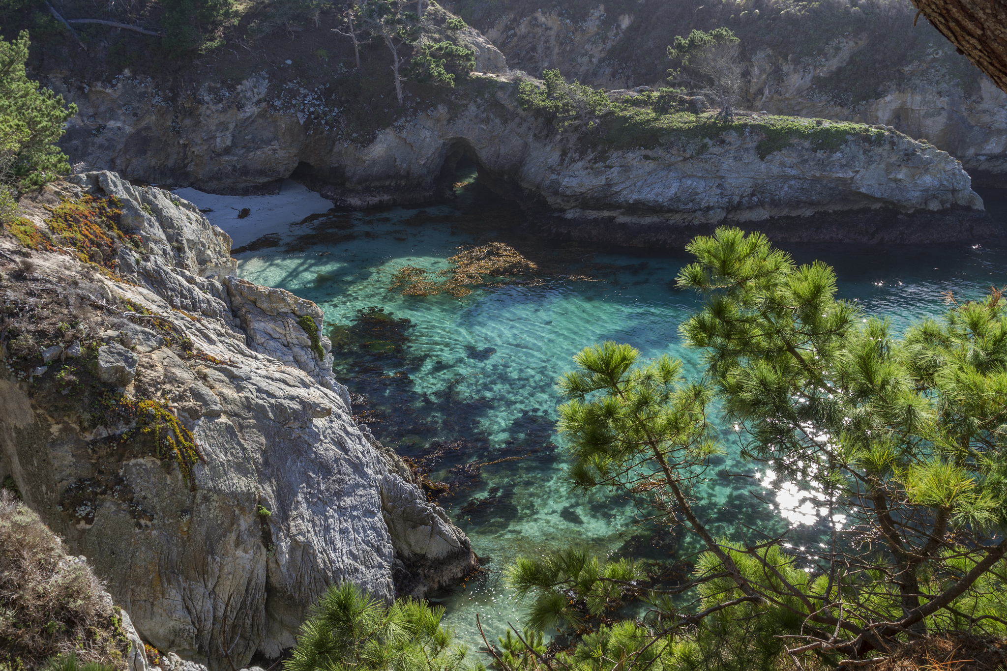 Point Lobos State Reserve, Carmel by-the-Sea